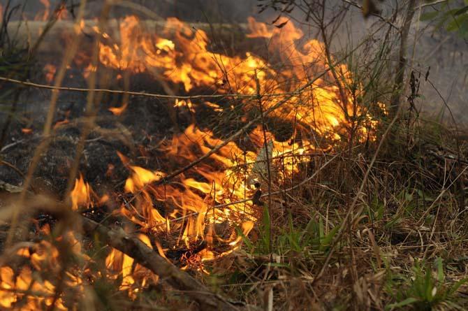 RNR class conducts prescribed burns, learns about fire as a tool