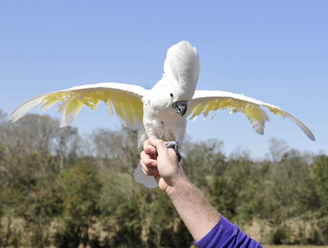 Student-run preserve aims to educate the public on wildlife