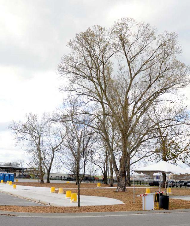 The new tail-gating area on the west side of Alex Box stadium is now ready for pre-game festivities, Monday, Mar. 4, 2013.
 