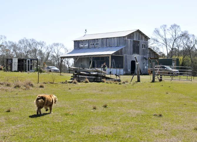 Student-run preserve aims to educate the public on wildlife