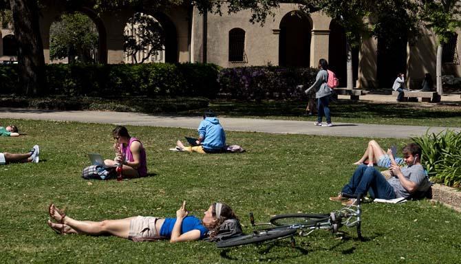 Students sunbathe and study in the quad Tuesday, March 19, 2013.
 