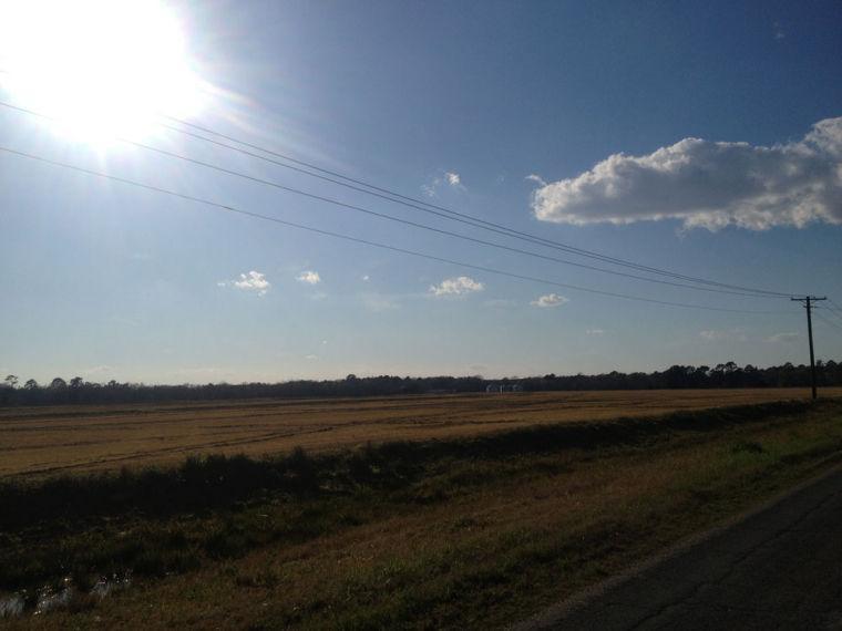 The sun shines down on the farmland just outside of Mamou, La. somewhere on Highway 104.
 