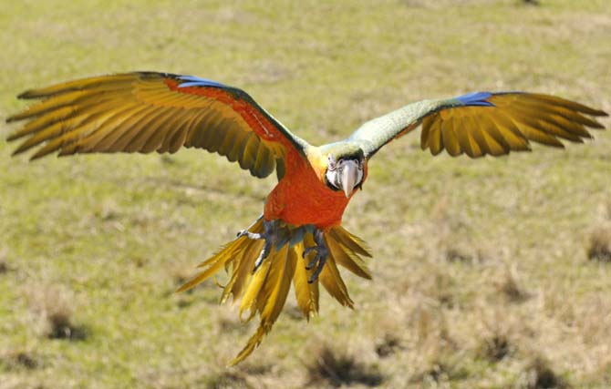 Student-run preserve aims to educate the public on wildlife