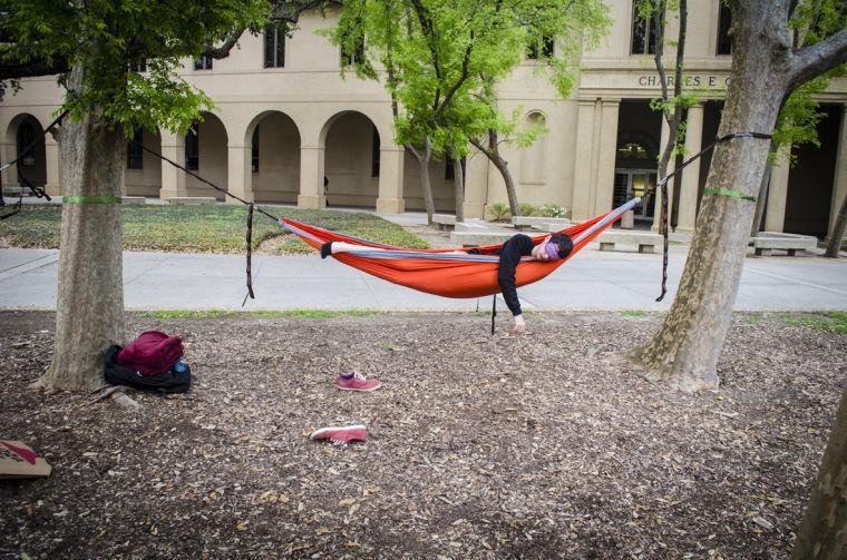 On computer science freshman Gabe Hilliard's "Fun Fridays," you can find him lounging in his hammock in a different spot each week.&#160;
 