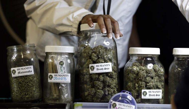 Different strains of marijuana are displayed during the grand opening of the Seattle location of the Northwest Cannabis Market, for sales of medical marijuana products, Wednesday, Feb. 13, 2013. The market hosts nine permanent vendors for seven-day-a-week sales, as well as daily vendors of a variety dried medicines, edible products and starts. Voters in Washington state last fall passed Initiative 502, which legalizes the recreational possession of up to an ounce of marijuana and calls for the creation of state-licensed pot growers, processors and retail stores. Recreational marijuana sales are expected to begin late this year, and in the meantime, the state&#237;s medical marijuana industry continues to operate. (AP Photo/Elaine Thompson)
 