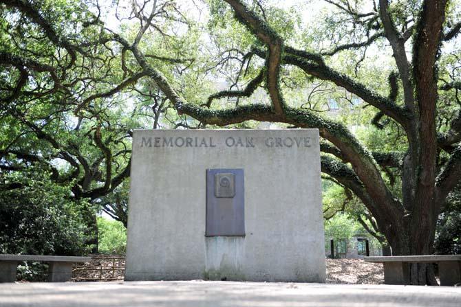 A stone monument siginifies the location of Memorial Oak Grove, which was dedicated in 1926 for the memory of fallen soldiers in World War I.
 