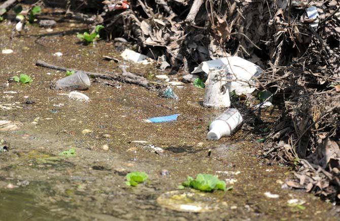 Trash floats in Bayou Duplantier Tuesday, April 23, 2013 near the University Lakes. Trash has accumulated here after flowing through Corporation Canal, which runs through campus.
 