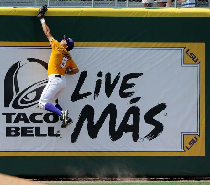 LSU sophomore outfielder Chris Sciambra (5) scales the outfield wall to try for the ball May 18, 2013 during the Tigers' 9-11 loss to Ole Miss in Alex Box Stadium.
 