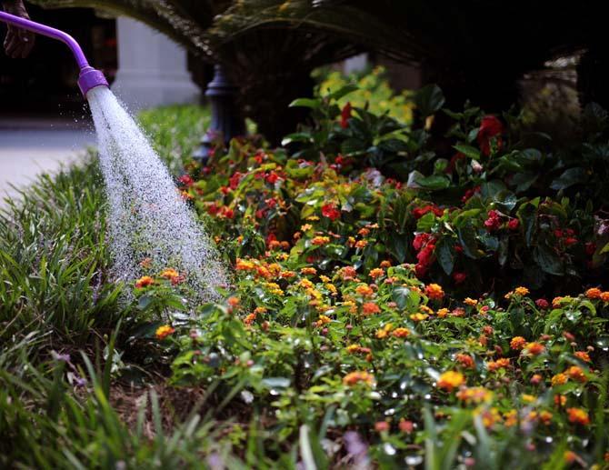 Fertile Grounds: University horticulturist keeps campus beautiful