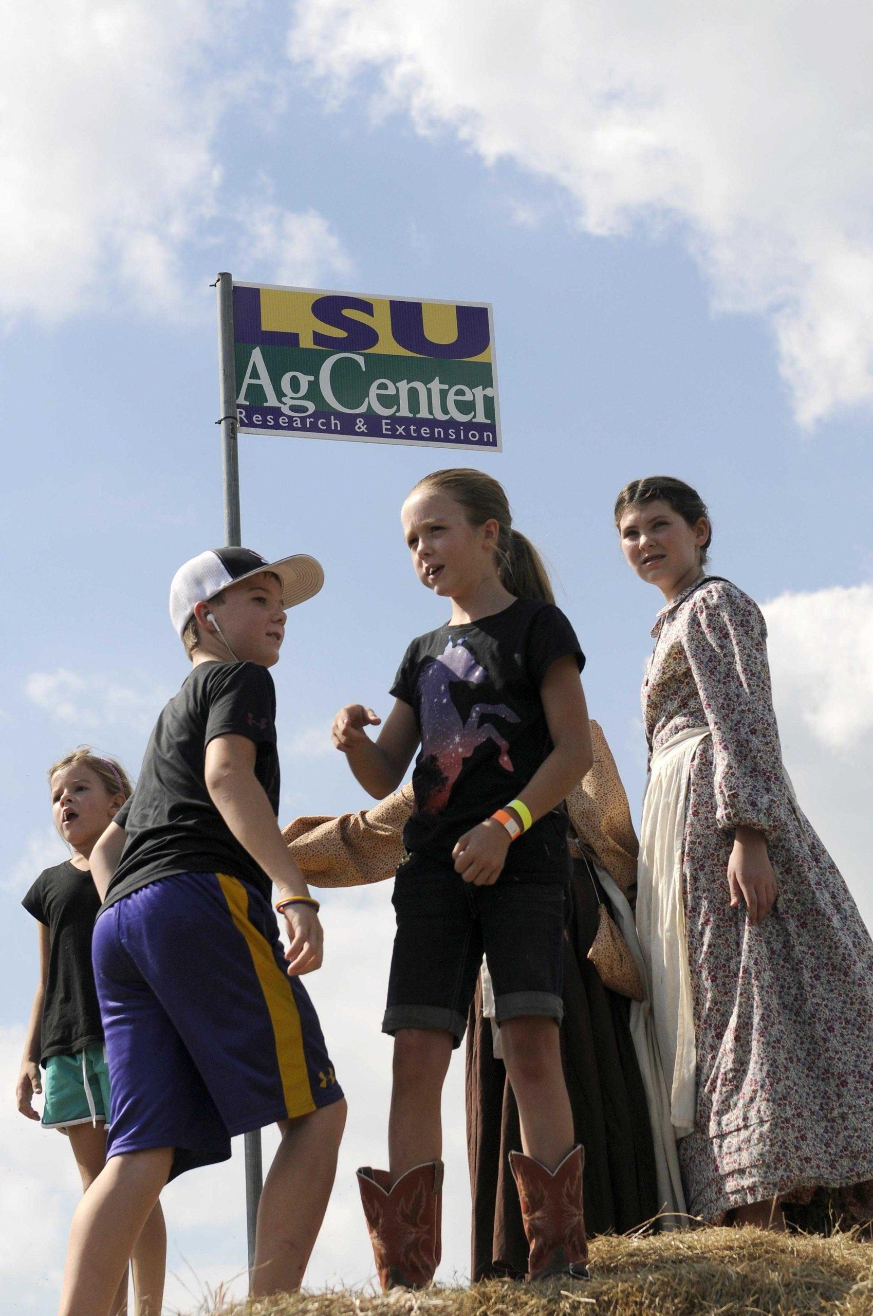 Annual corn maze teaches agriculture, funds programs