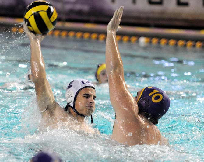 Club Sports: Water polo team making strides after revival