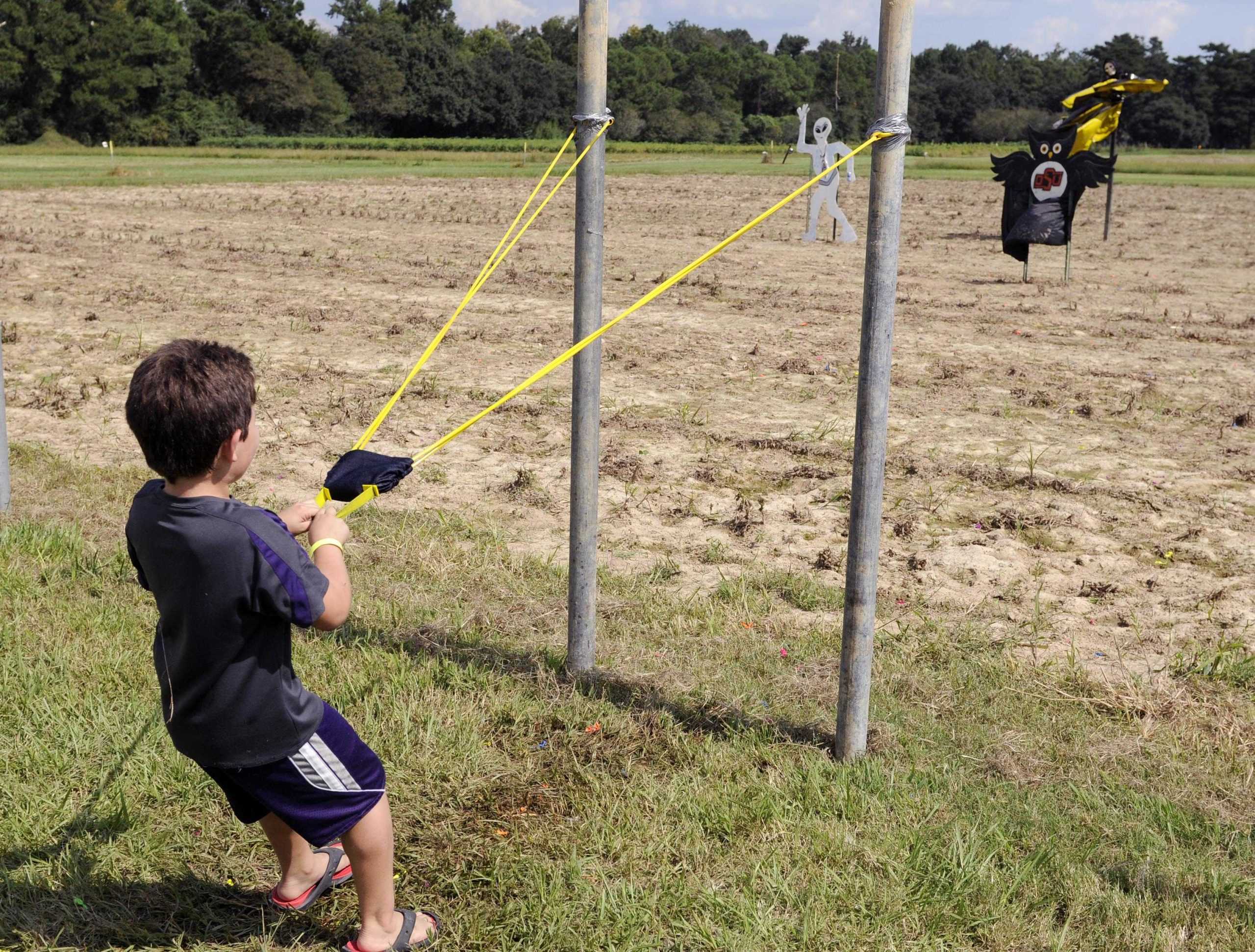 Annual corn maze teaches agriculture, funds programs