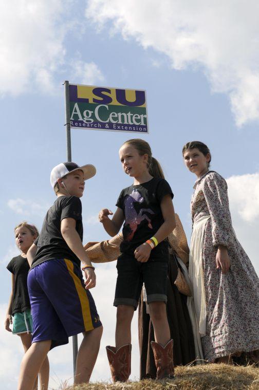 Children play 'King of the Hill' on the hay mountain Saturday, Sept. 28, 2013 at the LSU AgCenter Botanic Garden Corn Maze.