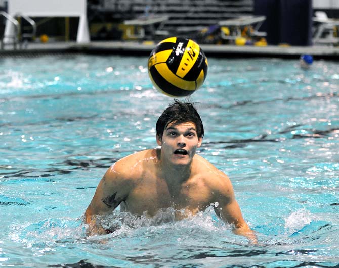 Club Sports: Water polo team making strides after revival