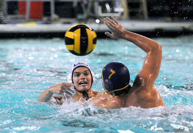 Club Sports: Water polo team making strides after revival