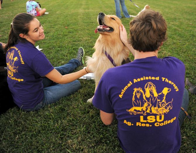 LSU animal science sophomores Michelle Bourgeois (left) and Ben Kraemer(right) pet Dallas, one of the trained dogs for the Agriculture Residental College's animal assisted therpy program at the LSU School of Veterinary Medicine.