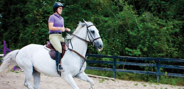 Our Dark Horse: LSU Equestrian Club