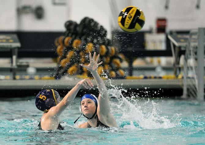 Club Sports: Water polo team making strides after revival