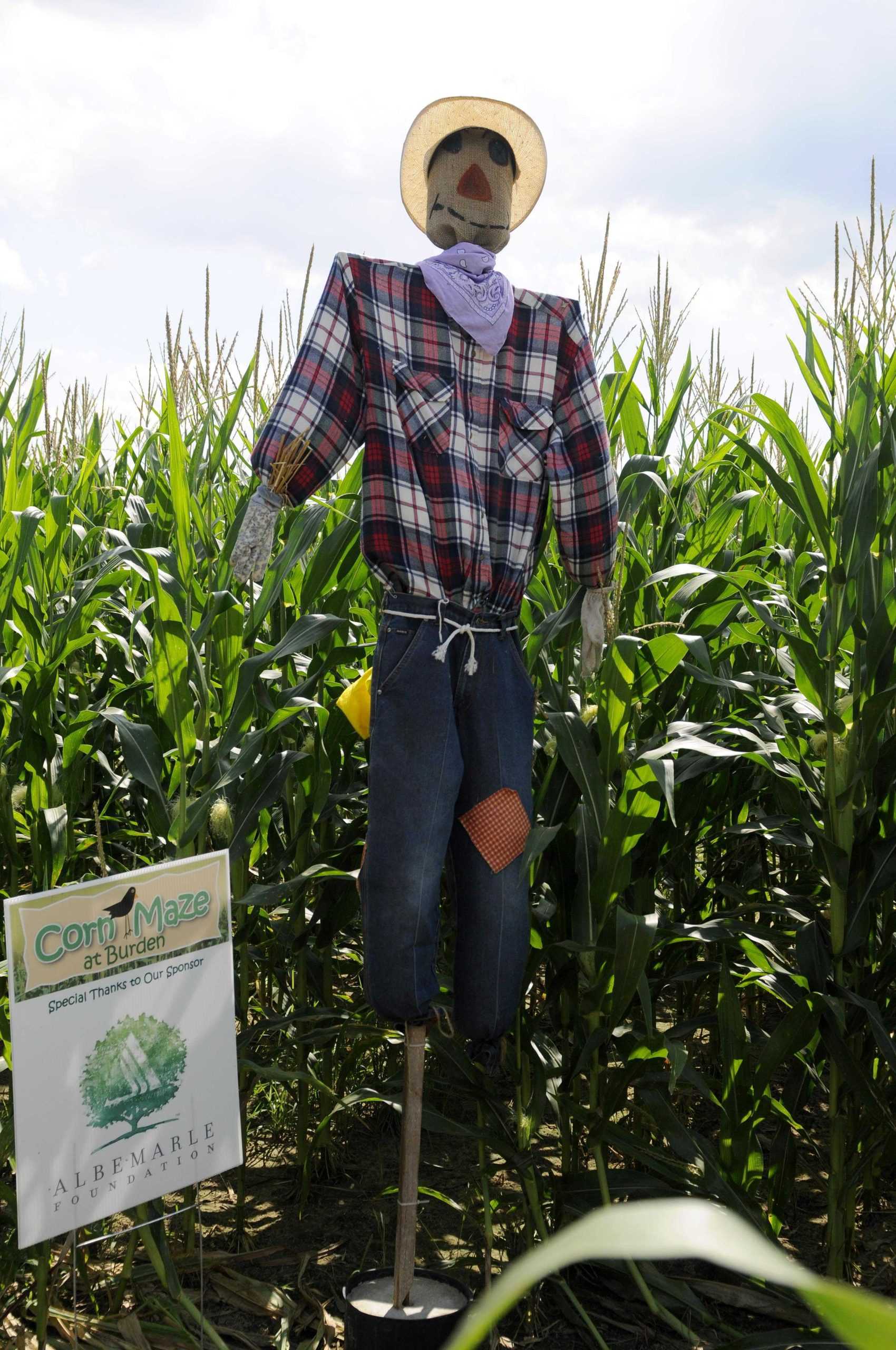 Annual corn maze teaches agriculture, funds programs