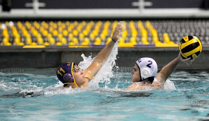 Club Sports: Water polo team making strides after revival