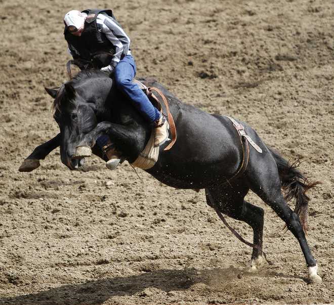 Angola Prison Rodeo