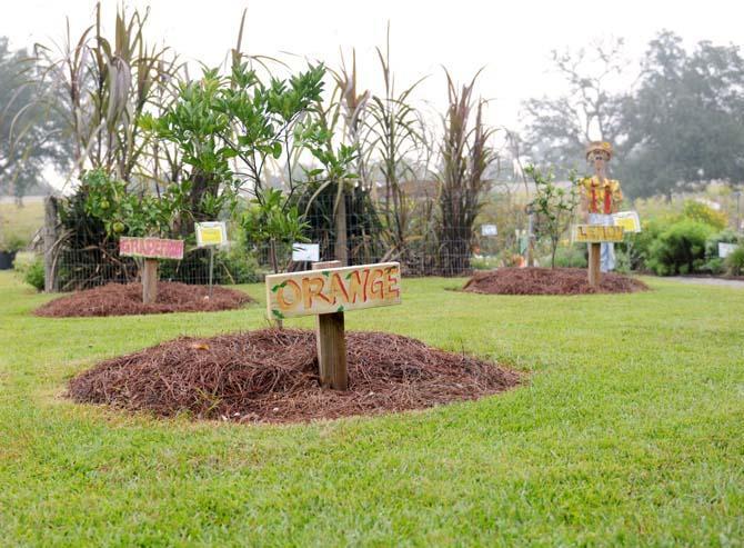 The Childrens' Garden at The LSU AgCenter at Burden teaches Baton Rouge kids the value of gardening.