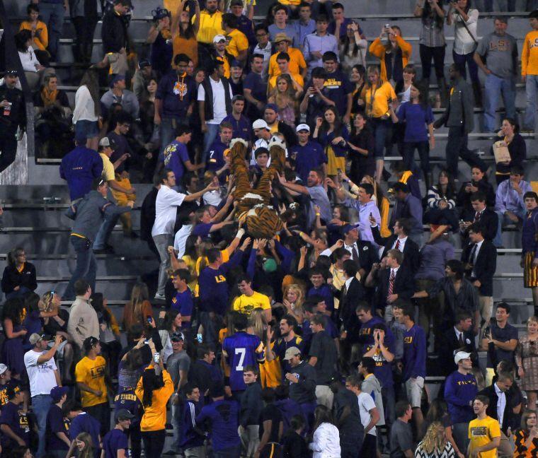 Mike crowd surfs Saturday night, Oct. 26, 2013 during the Tigers' 48-16 win against Furman in Tiger Stadium.