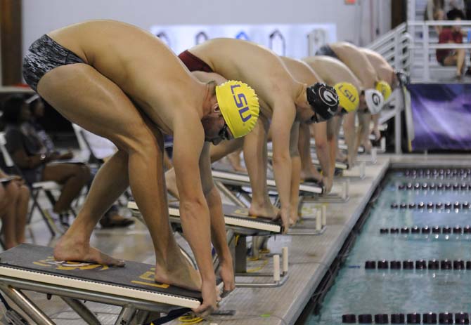 LSU junior Matt Schaefer and the other swimmers prepare to dive in for their men's 1000 freestyle event on Friday October 18, 2013 at the LSU vs. Georgia swim meet in the Natatorium.