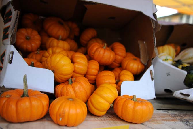 Pumpkins are displayed on a shelf Thursday at LSU Dining's "Eat Local" Farmer's Market next to the LSU Union Square.