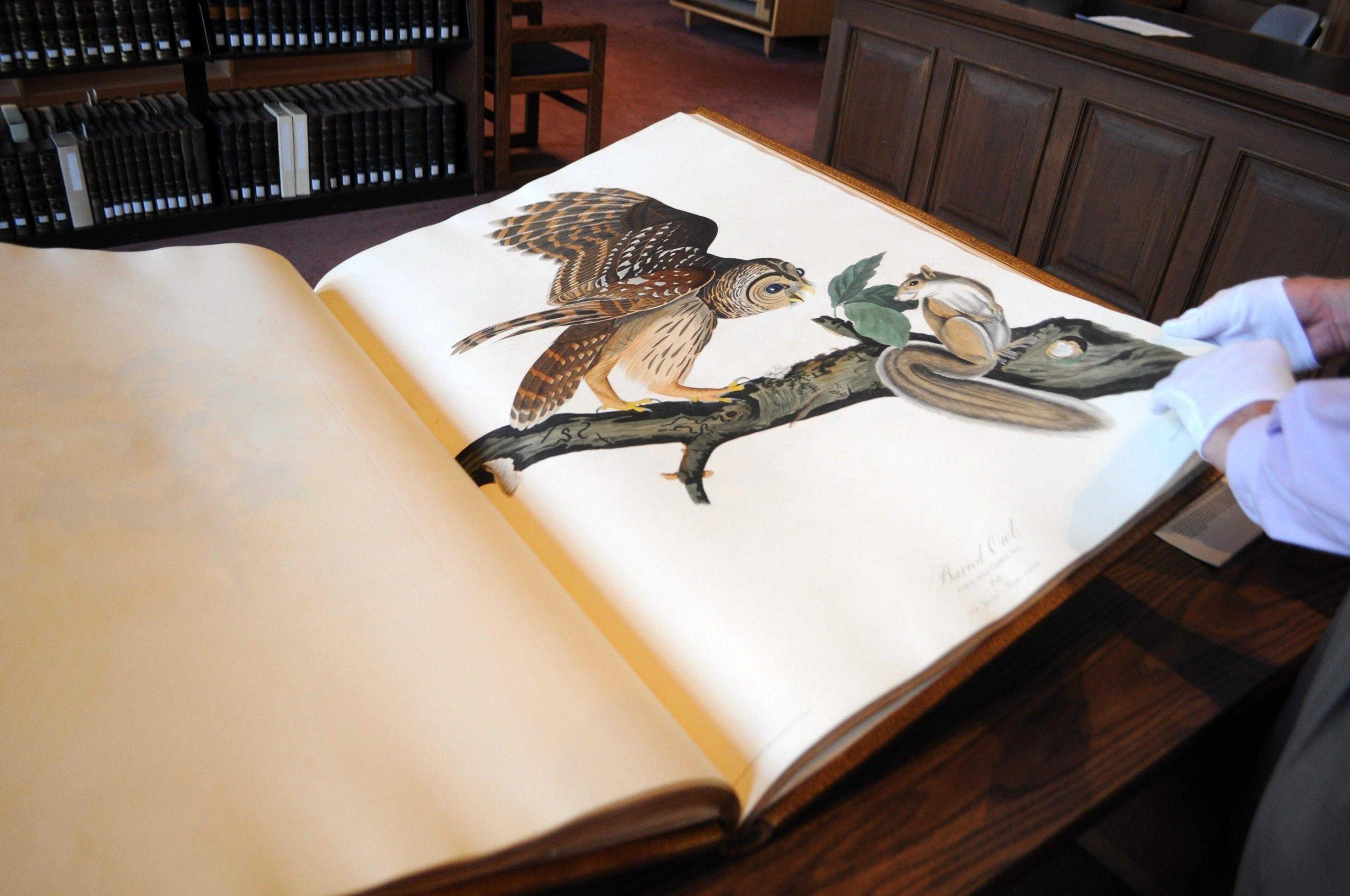 Taking Flight: Audubon Day showcases valued book collections