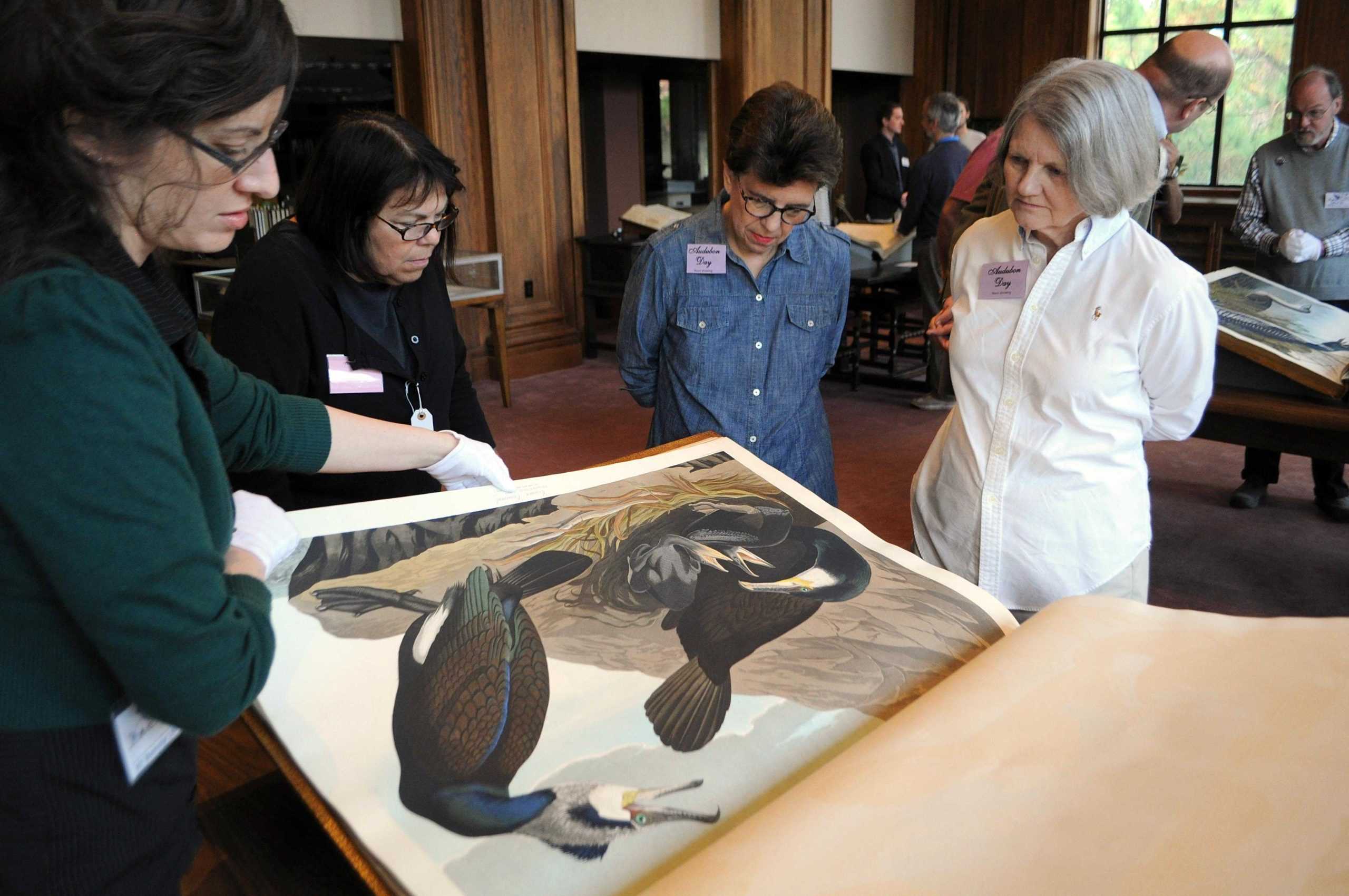 Taking Flight: Audubon Day showcases valued book collections