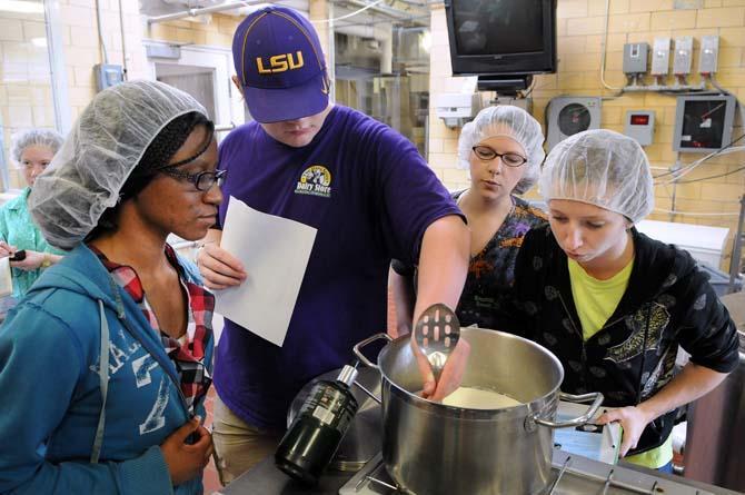 LSU animal science junior Ascha McDay (left), animal science senior Mark Rule (middle left), animal science senior Katie Coleman (middle right), and animal science senior Mandy Montreuil (right) churn the milk during the process of making cottage cheese Thursday, Oct. 31, 2013, at the Dairy Science Building.