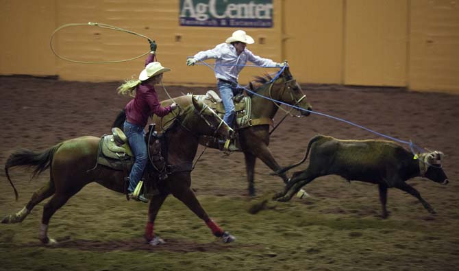 Two team ropers work together to capture the bull on Thursday, Nov. 21, 2013, during the Block and Bridle rodeo in the LSU Parker Coliseum.