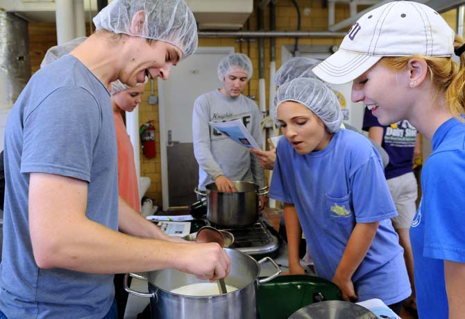 LSU animal science senior Jacob Moise (left), animal science senior Alyssa Bunch (middle), and animal science senior Kaila DesAngles (right) collaborate in the process of making cottage cheese Thursday, Oct. 31, 2013, in the Dairy Science Building.