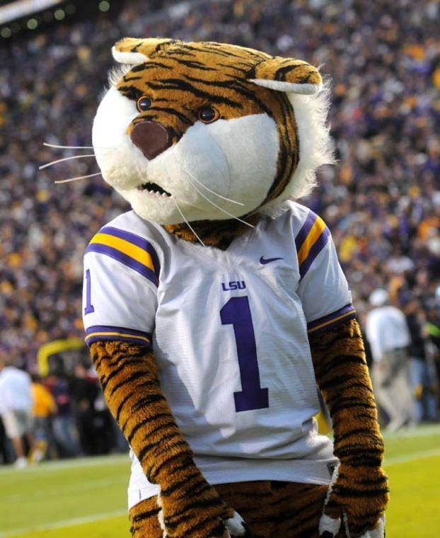 LSU mascot Mike the Tiger dances Friday, Nov. 29, 2013 during the Tigers' 31-27 victory against Arkansas in Tiger Stadium.