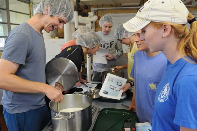 LSU animal science senior Jacob Moise (left) stirs the pot of cottage cheese while animal science senior Kaila DesAngles (right) oversees the process Thursday, Oct. 31, 2013, in the Dairy Science Building.