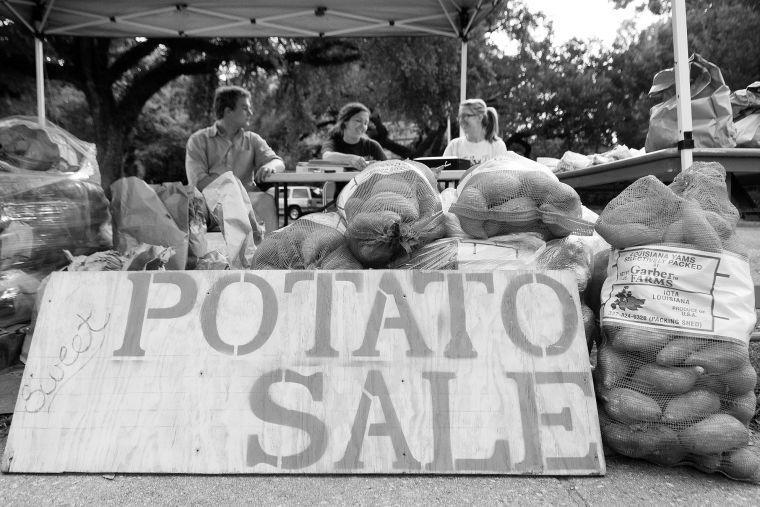 The Biological Engineering Students Organization is having its 32nd annual sweet potato and rice sale Monday, Nov. 18, 2013, at the intersection of South Stadium Drive and Highland Road.