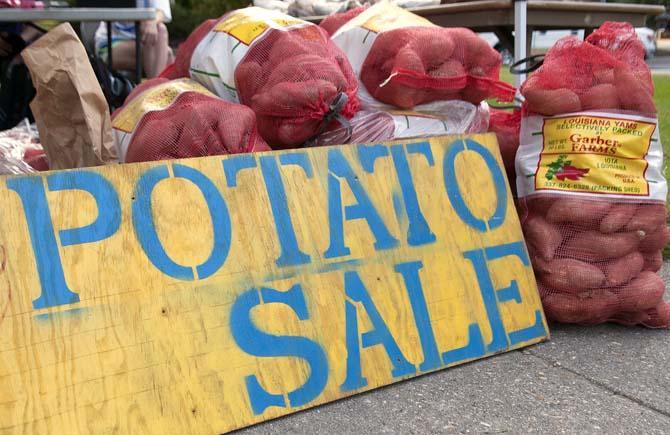 The Biological Engineering Students Organization is having its 32nd annual sweet potato and rice sale Monday, Nov. 18, 2013, at the intersection of South Stadium Drive and Highland Road.