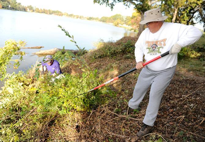 Parry "Matt" Thomas, president of TULIPA, and Jeff Smith clear vegetation Tuesday, Nov. 12, 2013 from the bank of University Lake.