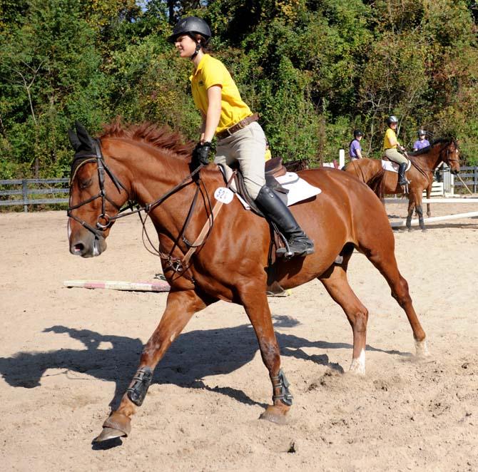 Two members of equestrian team have potential to reach nationals