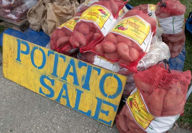 The Biological Engineering Students Organization is having its 32nd annual sweet potato and rice sale Monday, Nov. 18, 2013, at the intersection of South Stadium Drive and Highland Road.