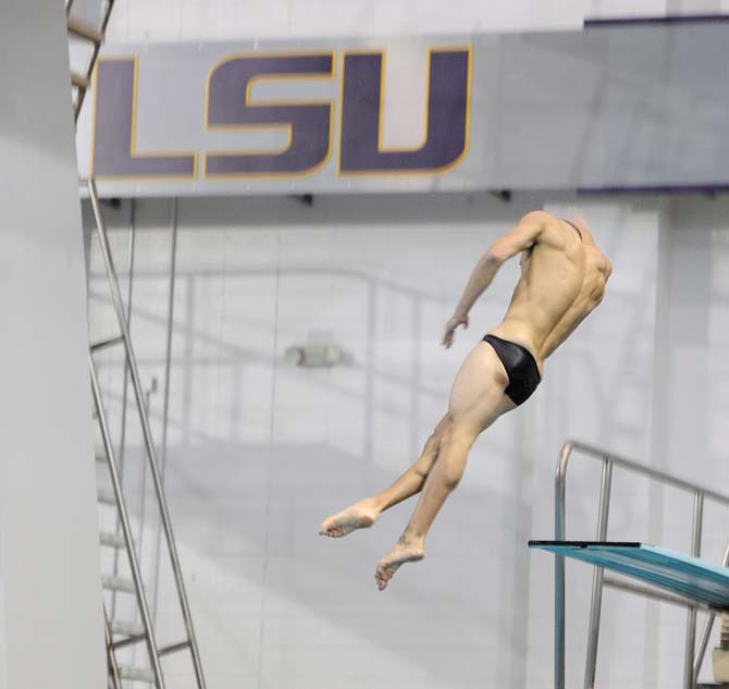 Senior diver Daniel Helm practices a dive Monday, November 18, 2013 at the LSU Natatorium.