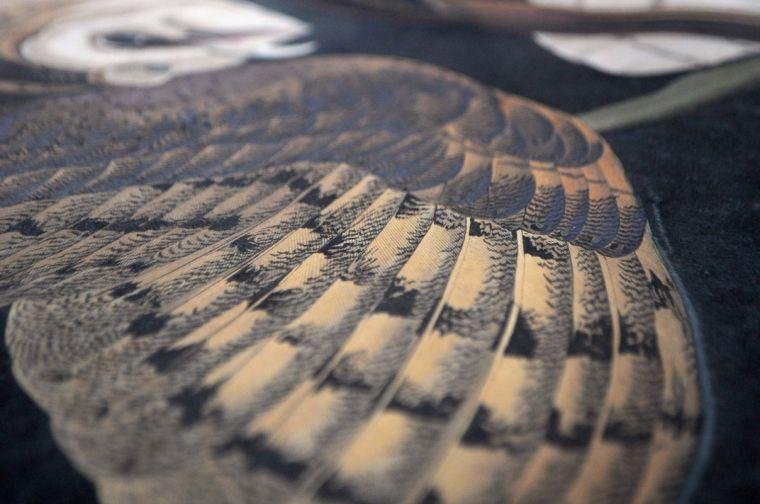 A detail that reveals the intricacies of John James Audubon's paintings in "Birds of America" shown during Audubon Day in Hill Memorial Library.&#160;