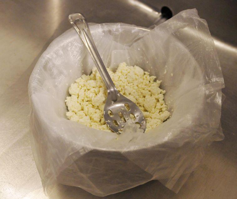 The cottage cheese drains during the Dairy Products class Wednesday, Oct. 31, 2013 in the Dairy Science Building.