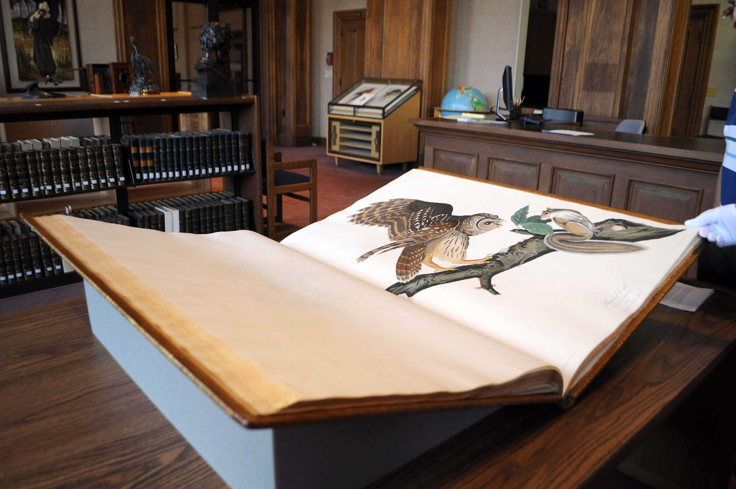 Taking Flight: Audubon Day showcases valued book collections