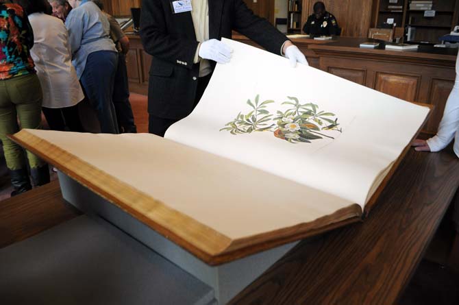 A Hill Memorial Library staff member gingerly turns the page of a volume of John James Audubon's "Birds of America" on Saturday, Nov. 16, 2013 during Audubon Day in Hill Memorial Library.