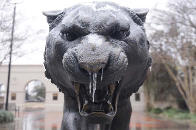 A statue of Mike VI is covered in ice near Mike's habitat Saturday, Jan. 25, 2014.