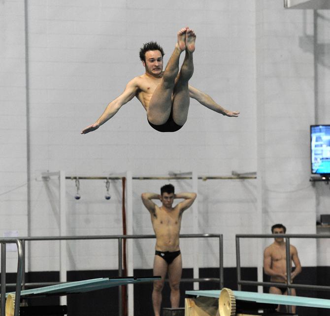 LSU senior diver Sean McKinney starts his dive Saturday, Jan. 18, 2013 during the Tiger's meet with Texas A&amp;M in the LSU natatorium.