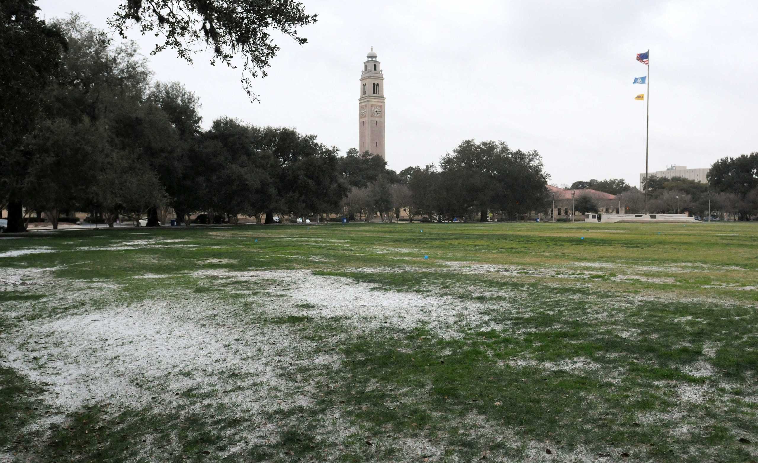 Snowing Down South: Students make most of snowy weather in Baton Rouge