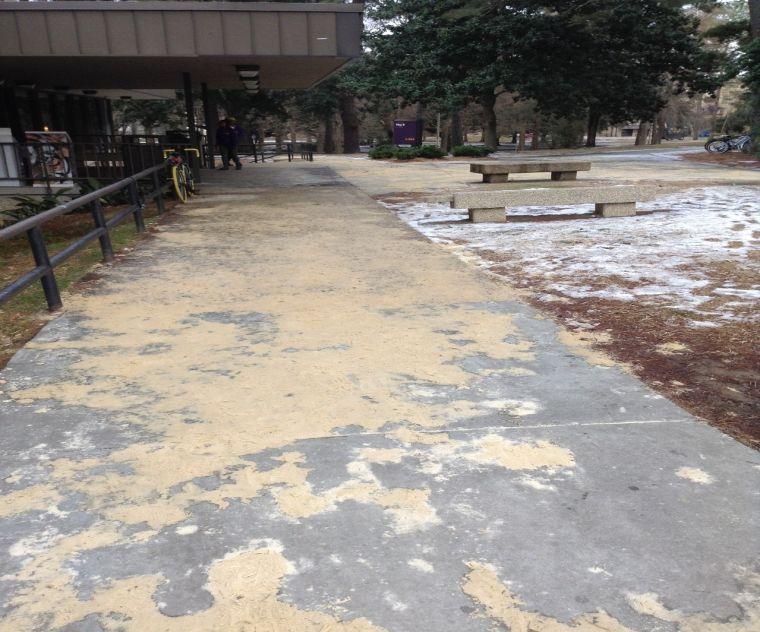 View of the snow and sand in front of the Five Dining Hall.